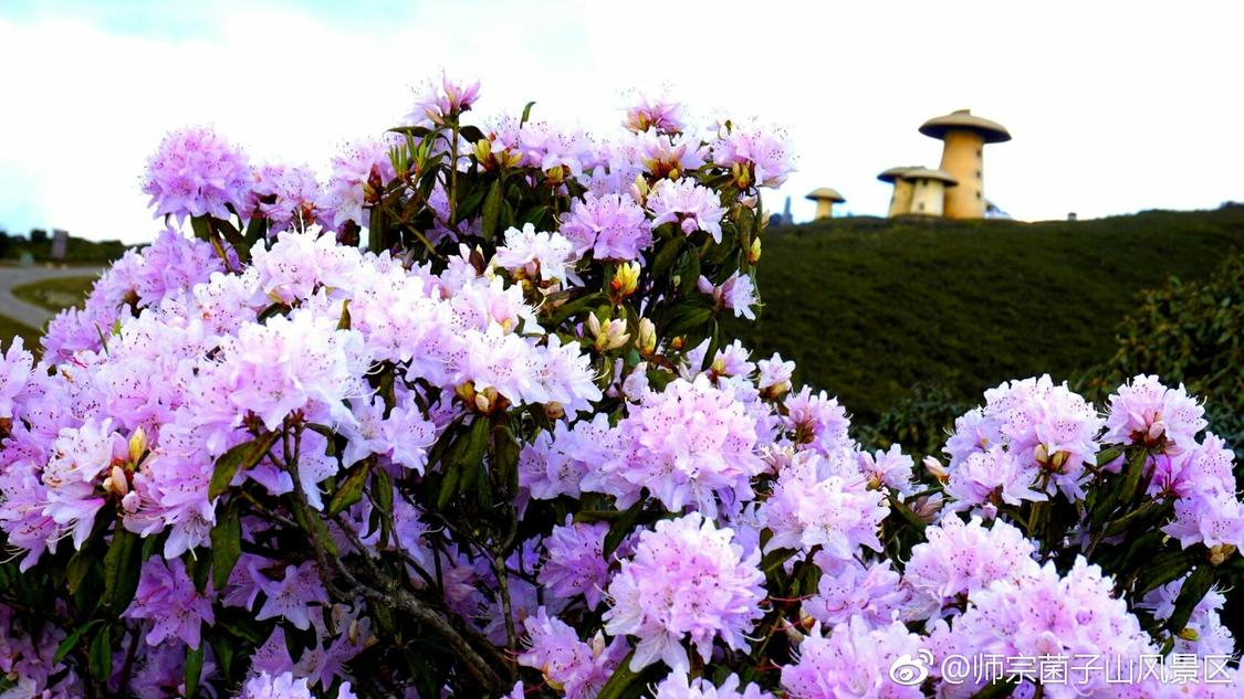 陈奕恒大屏怼脸生图